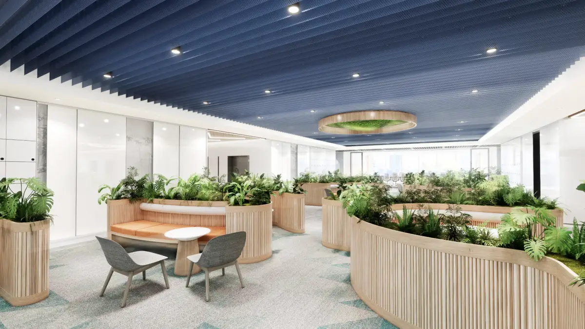 Collaboration Area